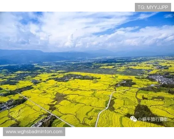 开云体育在线网站常见问题解答及客服支持指南，帮助用户解决使用中遇到的各种问题