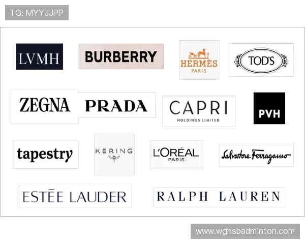 开云集团拥有的奢侈品牌有哪些以及每个品牌的独特设计风格